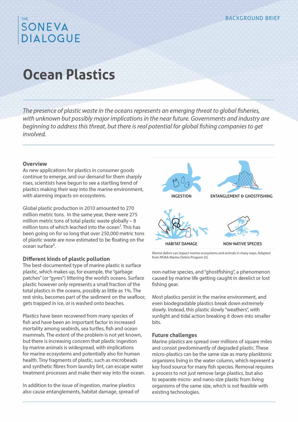 Ocean Plastics
